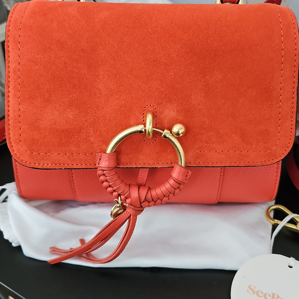 See By Chloe Coral Summer Satchel with Gold Hardware - Picture 5 of 17